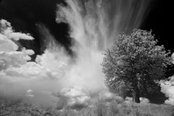 FC37F7_EDITORIAL_HiRes