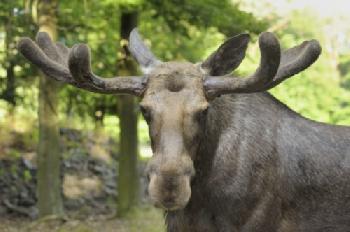 H4446D_EDITORIAL_HiRes