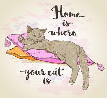 Home is where your cat is