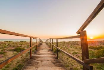 HWF5T1_EDITORIAL_HiRes