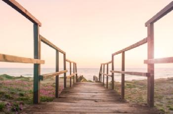 HWF5T4_EDITORIAL_HiRes