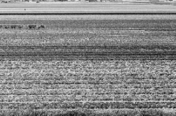 J3XH20_EDITORIAL_HiRes