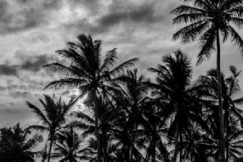 JF4R31_EDITORIAL_HiRes