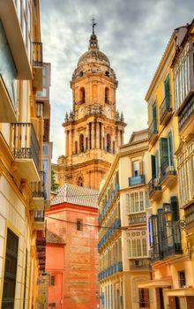 Katedra w Maladze. Hiszpania
