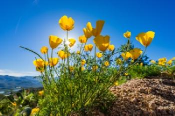 KGR1A6_EDITORIAL_HiRes