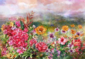 Kolorowe pole kwiatów