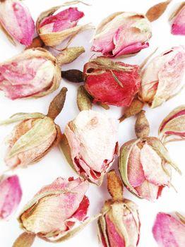 Kompozycja z suszonych kwiatów