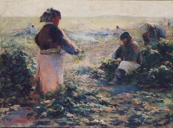 Kopanie buraków 1893, Leon Wyczółkowski