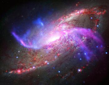 Spiralna różowa galaktyka