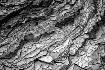 KPT9J6_EDITORIAL_HiRes