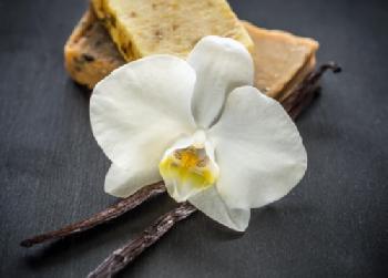 KPW5A1_EDITORIAL_HiRes