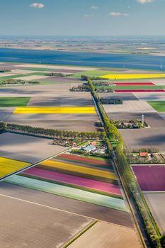 Krajobraz z kolorowymi polami