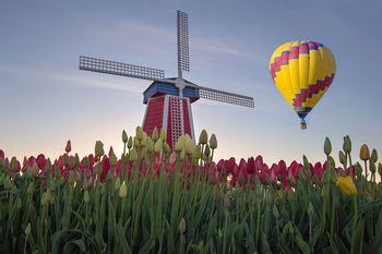 Balon na gorące powietrze w Woodburn Oregon. USA