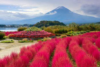 Góra Fuji, Japonia 