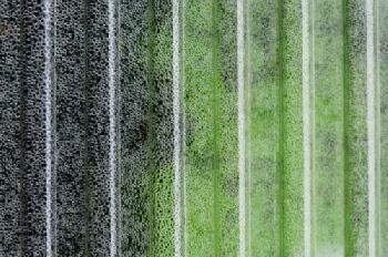 Krople wody na czarno zielonym tle