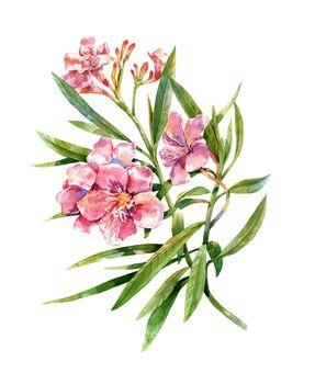 Kwiaty w technice watercolor