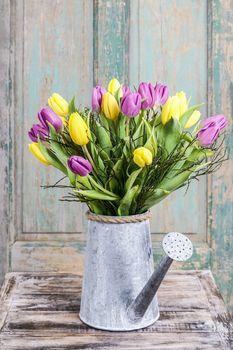 Bukiet tulipanów w konewce