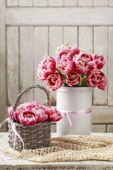 Bukiety tulipanów w odcieniach różu