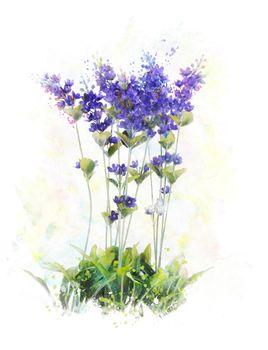 Ilustracja z fioletowymi kwiatami