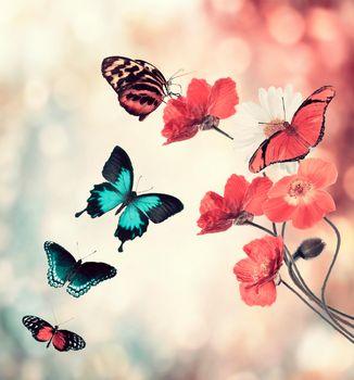 Kolorowe motyle z kwiatami