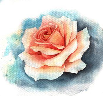 Róża w technice watercolor