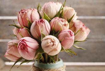 Różowe tulipany we flakonie