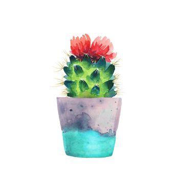 Rysunek kwitnącego kaktusa