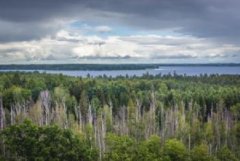 M0Y27H_EDITORIAL_HiRes