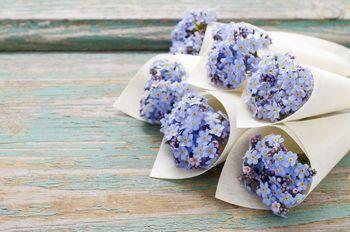 Małe bukiety niezapominajek