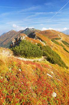 Malowniczy górski szlak, Tatry. Polska