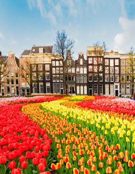 Tulipany i kamienice w Amsterdamie