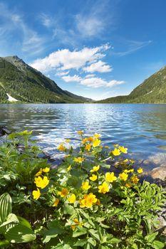 Morskie Oko z kaczeńcami