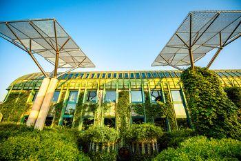 Ogród Biblioteki Uniwersyteckiej latem