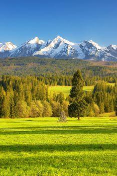 Panorama Tatr w okolicach Bukowiny