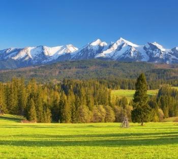 Widok na Tatry z okolic Bukowiny