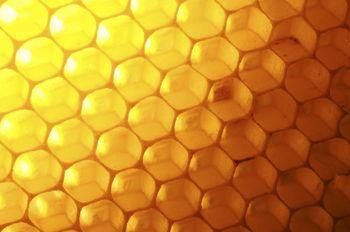 Struktura plastra miodu