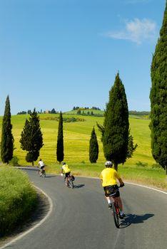 Trójka ludzi na rowerach