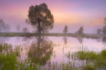 Wiosenne rozlewiska Narwii