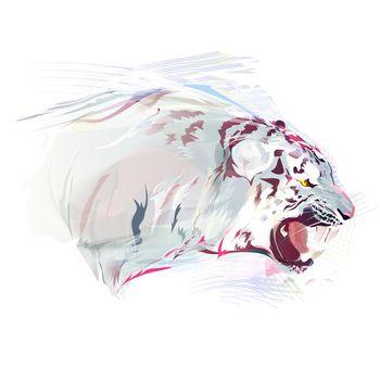 Biały tygrys - rysunek