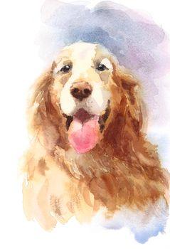 Ilustracja przedstawiająca psa rasy Golden retriever