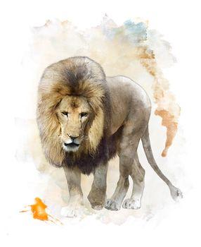 Obraz przedstawiający lwa