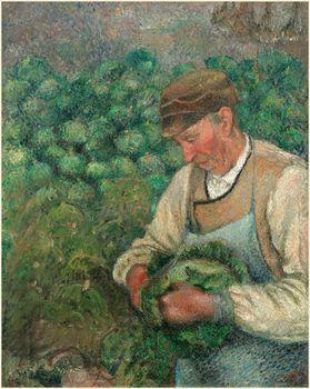 The gardener - old peasant with cabbage, Camille Pissarro