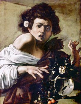 Chłopiec ugryziony przez jaszczurkę, Caravaggio
