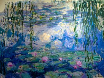 Lilie wodne, Monet