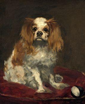 A King Charles Spaniel, Manet