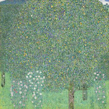 Rose Bushes under the trees, Klimt