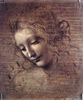  Head of a Woman, Leonardo da Vinci