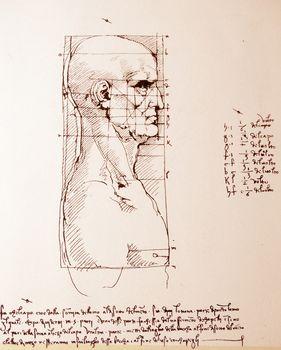 Human head, Leonardo da Vinci