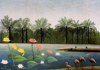 Les Flamants, Rousseau