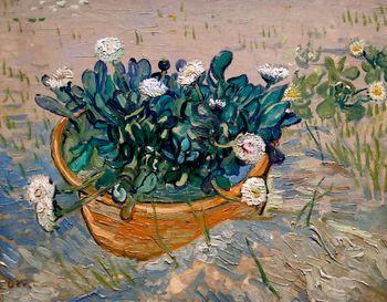 Daisies, Arles, Vincent van Gogh